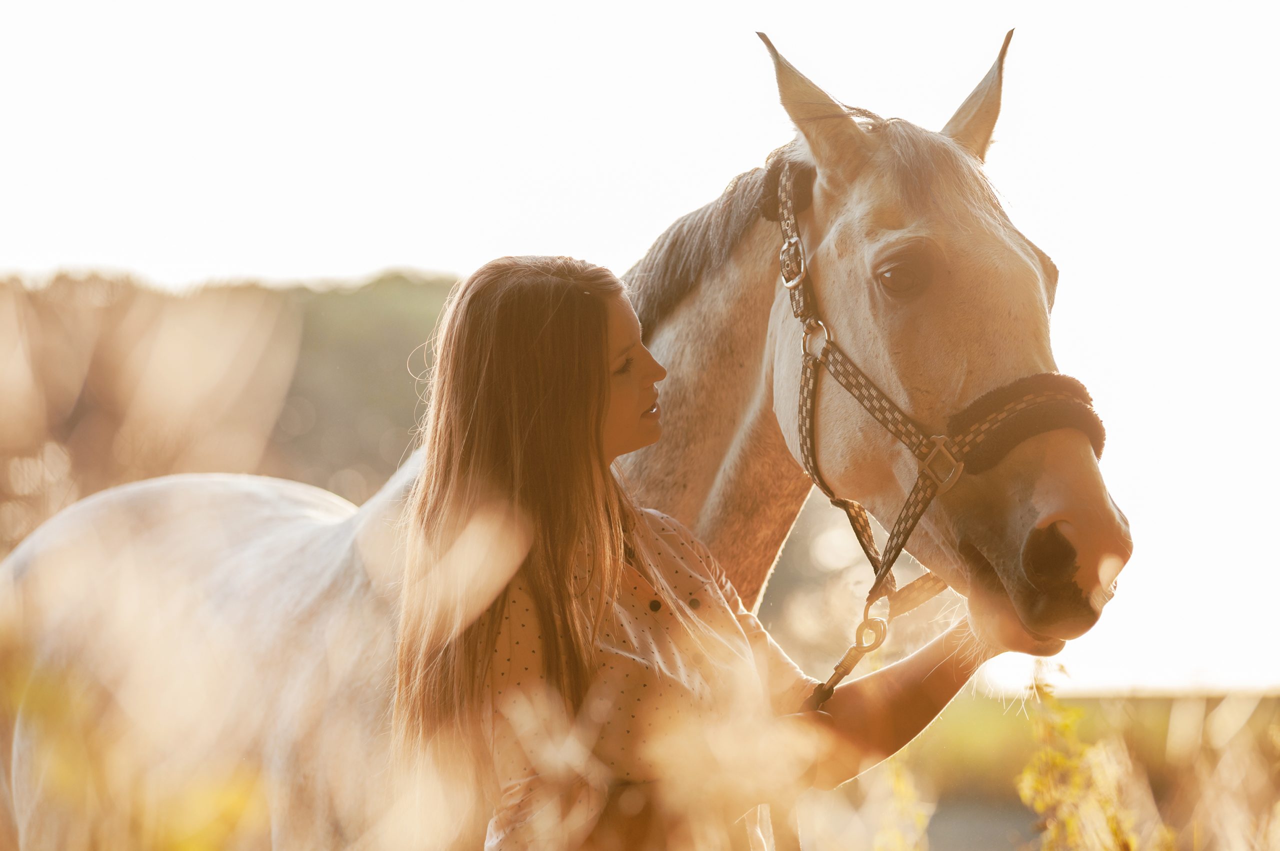 Quantum Healing Heal with Ease Horses