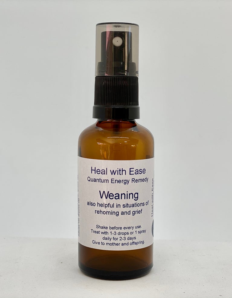 Equine Remedies Heal with Ease Horses